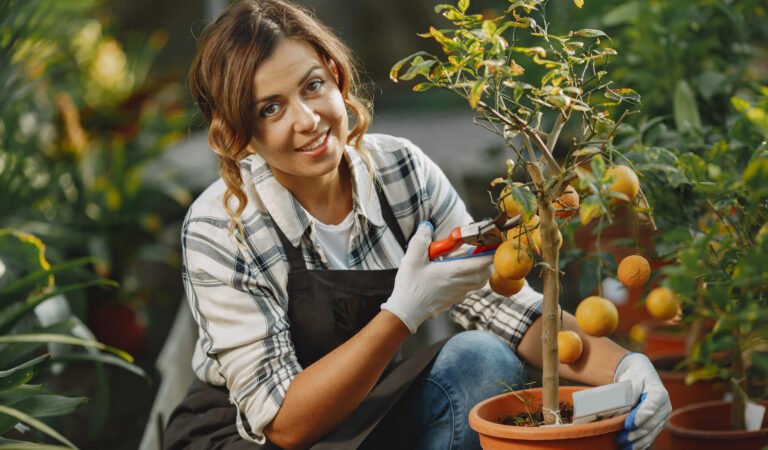 How to Grow Lemons At Home And Never Buy Them Again